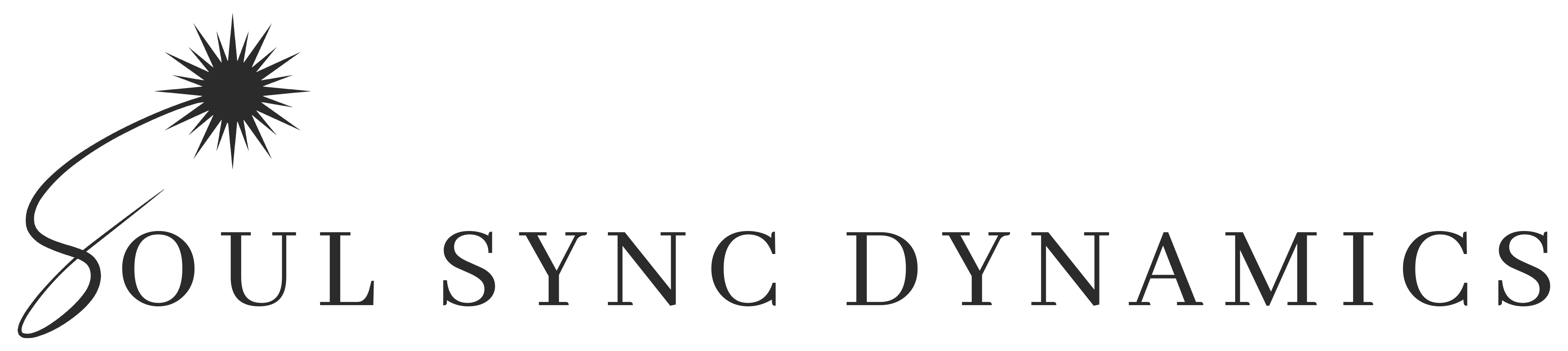 Soul Sync Dynamics